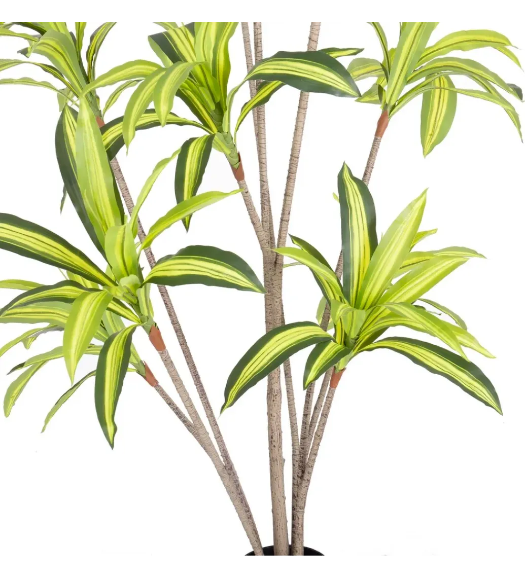Zona-Design Sztuczna roślina DRACENA 210 cm