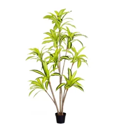 Zona-Design Sztuczna roślina DRACENA 210 cm