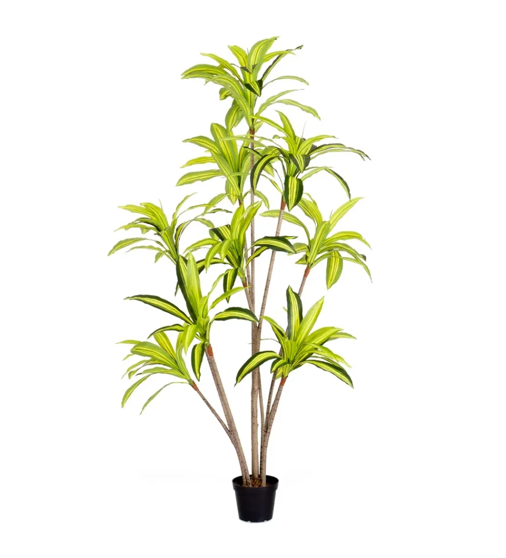 Zona-Design Sztuczna roślina DRACENA 210 cm