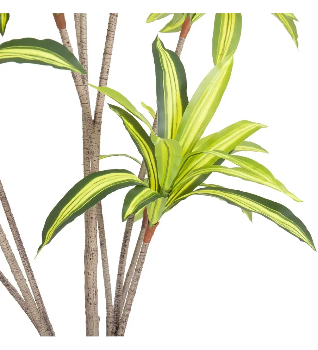 Zona-Design Sztuczna roślina DRACENA 210 cm