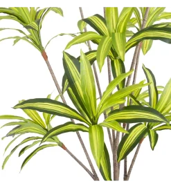 Zona-Design Sztuczna roślina DRACENA 210 cm