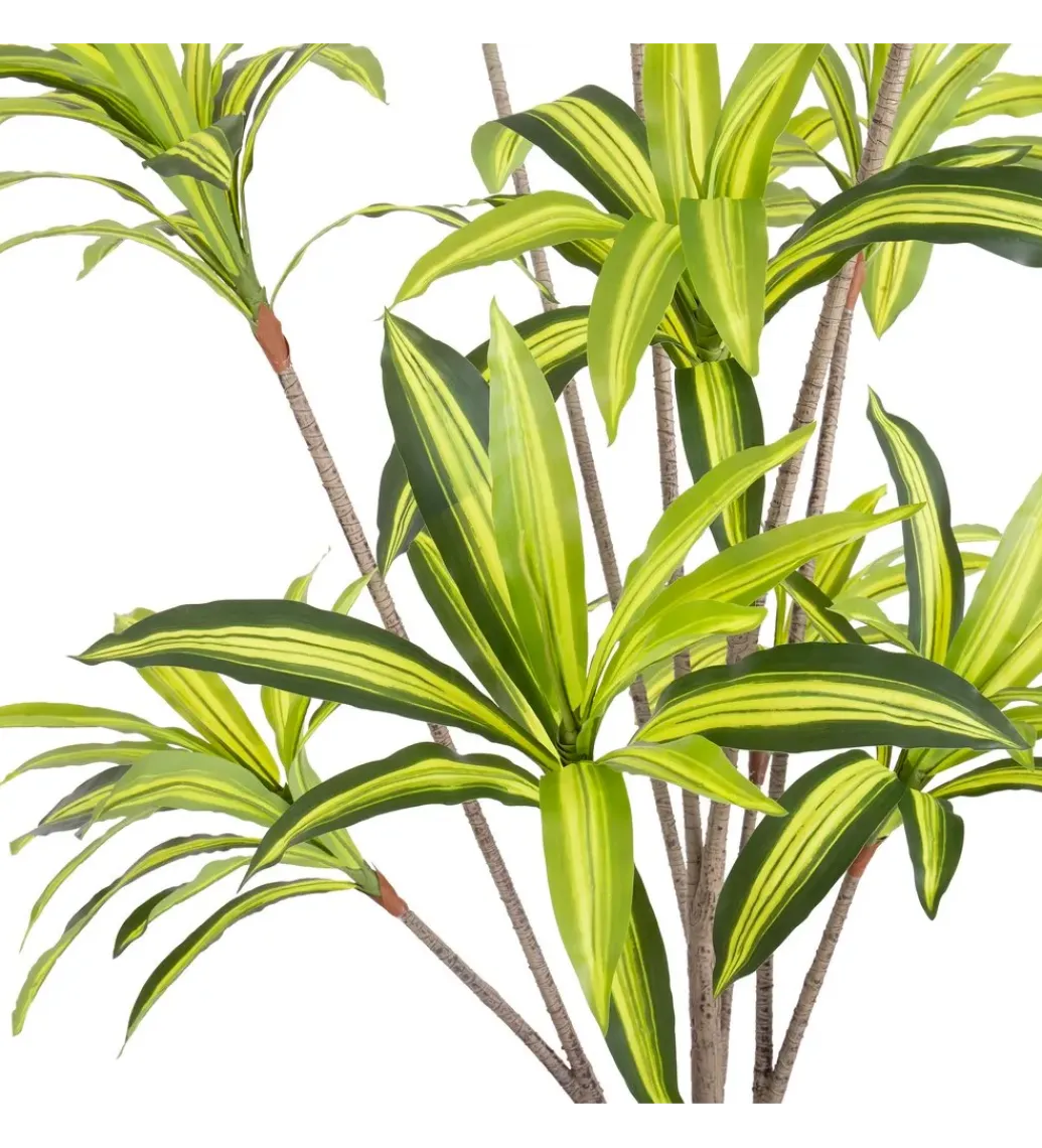 Zona-Design Sztuczna roślina DRACENA 210 cm