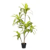 Zona-Design Sztuczna roślina DRACENA 150 cm