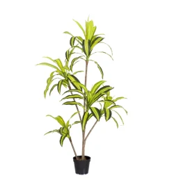 Zona-Design Sztuczna roślina DRACENA 150 cm