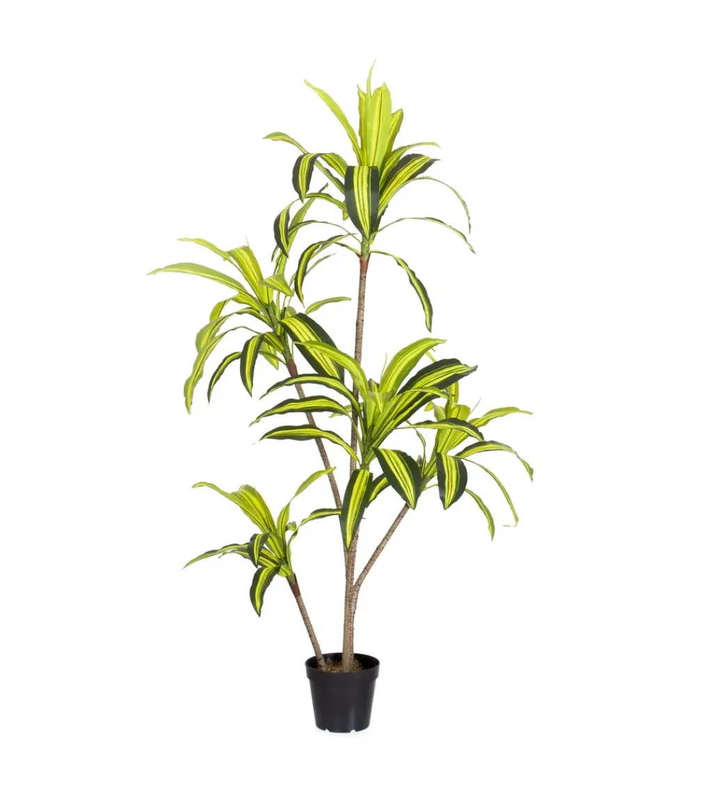 Zona-Design Sztuczna roślina DRACENA 150 cm