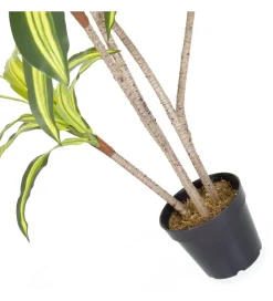 Zona-Design Sztuczna roślina DRACENA 150 cm