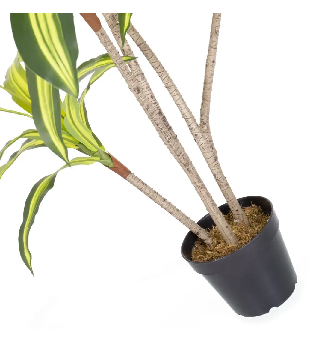 Zona-Design Sztuczna roślina DRACENA 150 cm