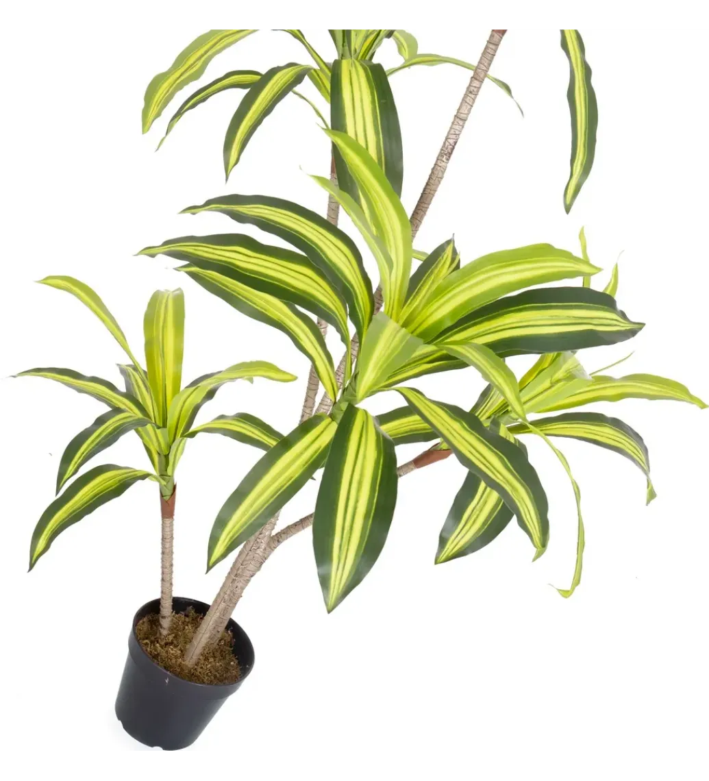 Zona-Design Sztuczna roślina DRACENA 150 cm