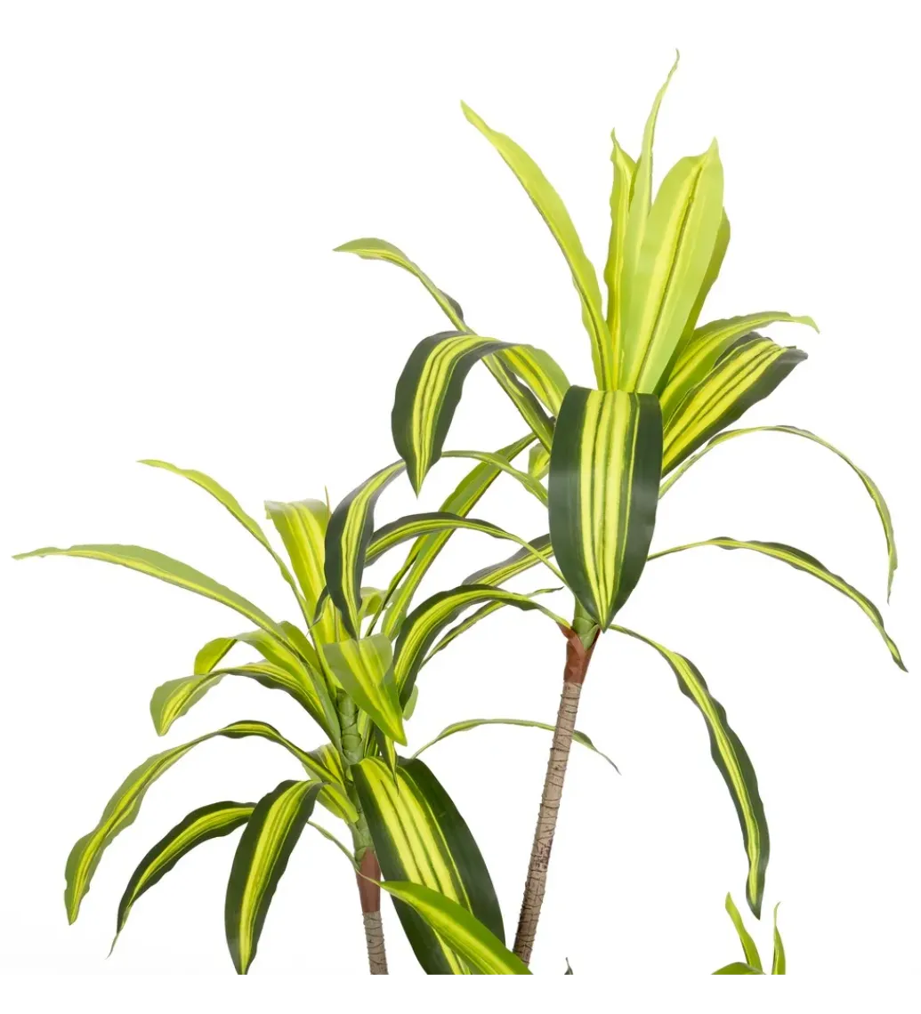 Zona-Design Sztuczna roślina DRACENA 150 cm