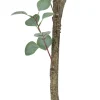Zona-Design Sztuczna roślina EUKALIPTUS 180 cm
