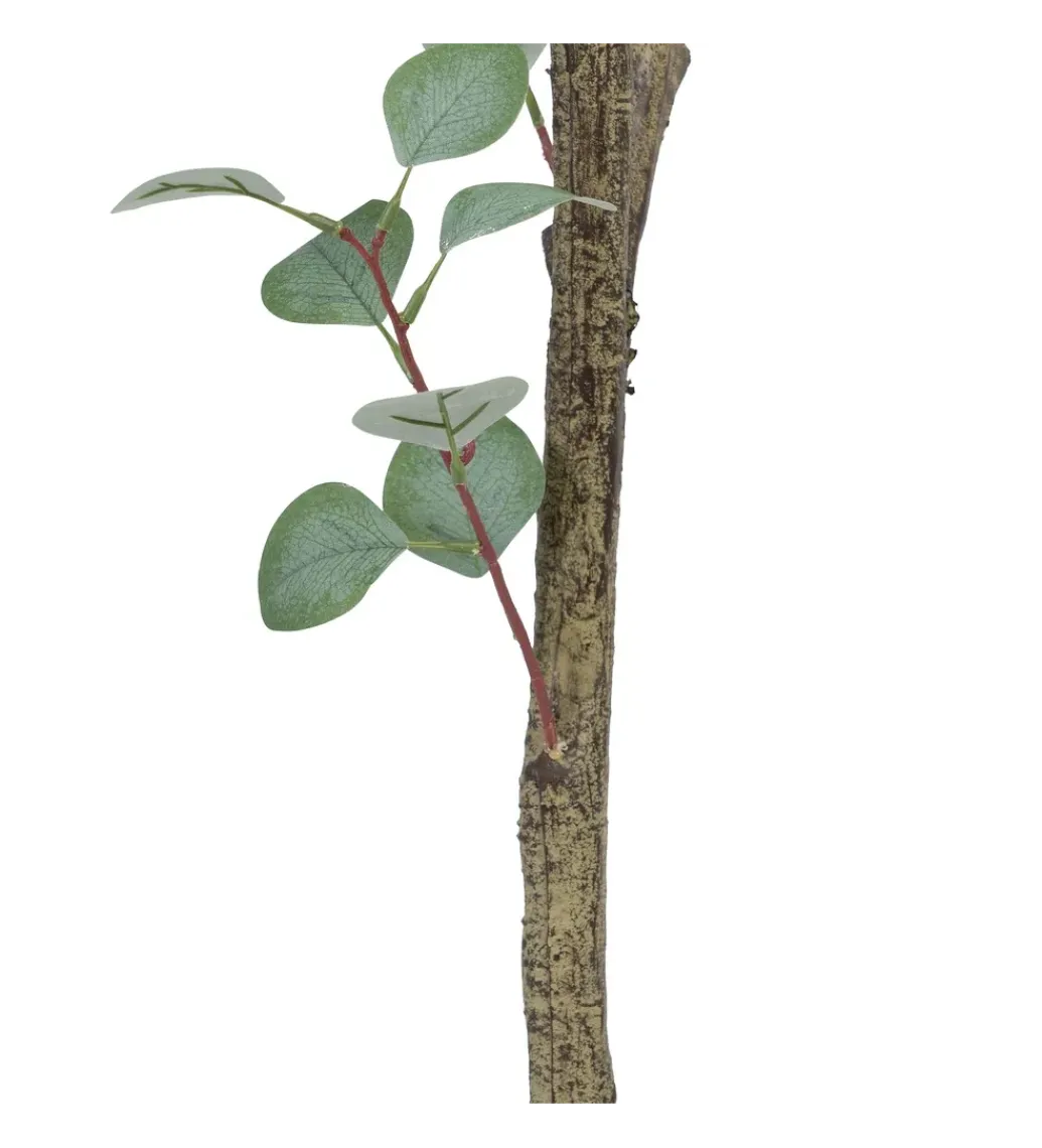 Zona-Design Sztuczna roślina EUKALIPTUS 180 cm