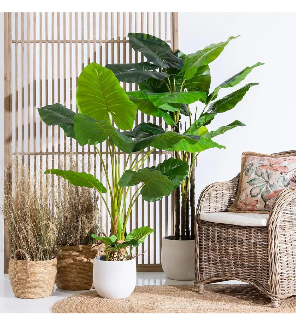 Zona-Design Sztuczna roślina FILODENDRO 155 cm
