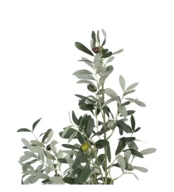 Zona-Design Sztuczna roślina OLIWKA 112 cm