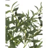 J-Line Sztuczna roślina OLIWKA 150 cm
