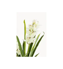 KDesign Sztuczna roślina ORCHID 100 cm