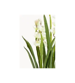 KDesign Sztuczna roślina ORCHID 100 cm