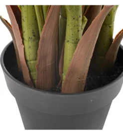 Zona-Design Sztuczna roślina PALMERA 170 cm