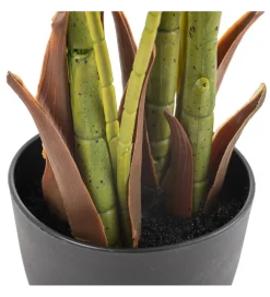 Zona-Design Sztuczna roślina PALMERA 170 cm