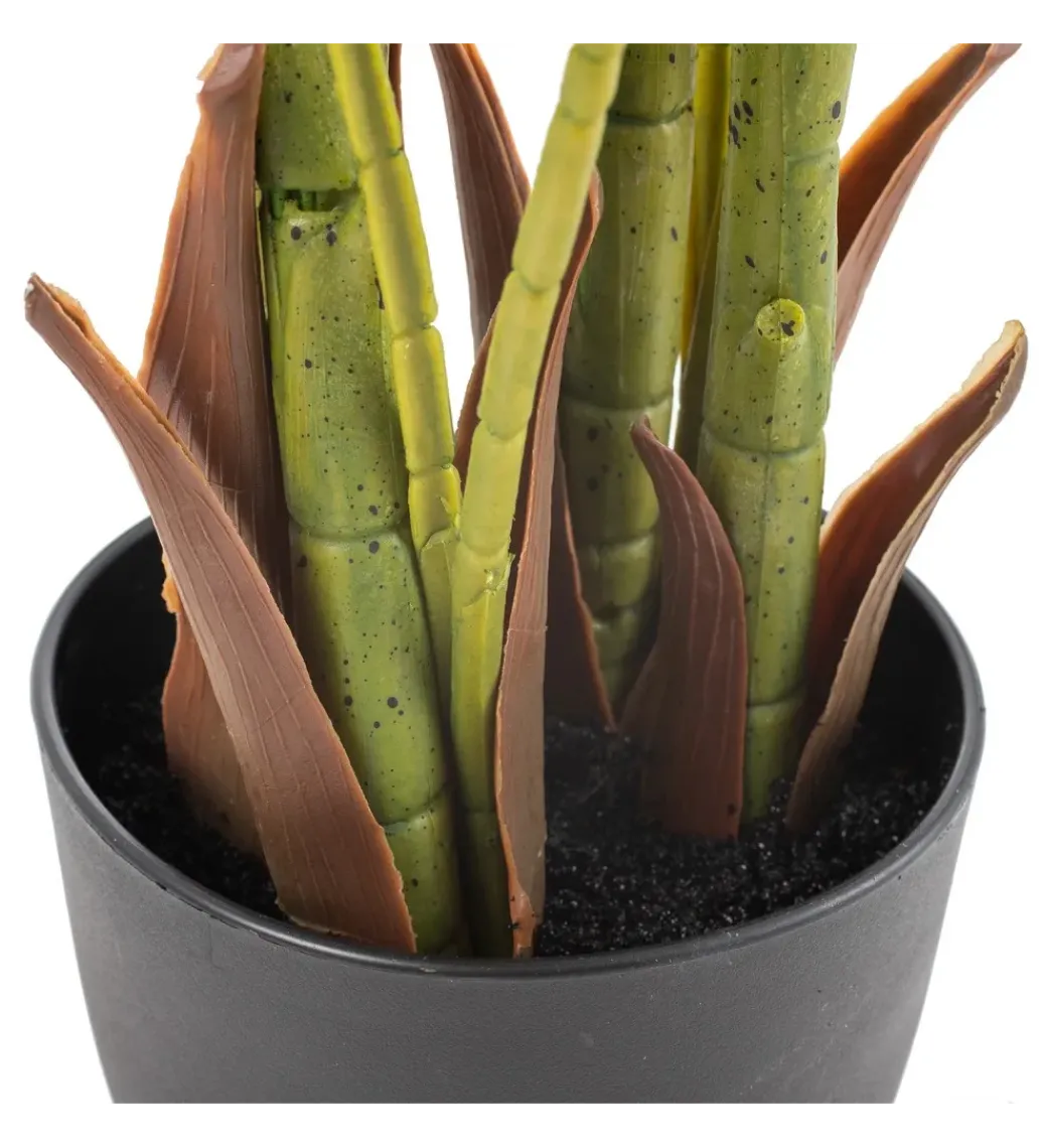 Zona-Design Sztuczna roślina PALMERA 170 cm