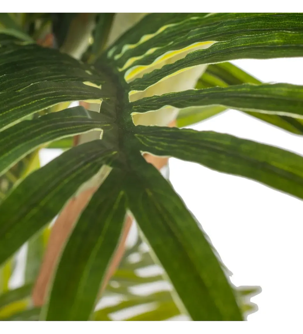 Zona-Design Sztuczna roślina PALMERA 170 cm