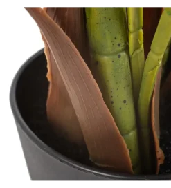 Zona-Design Sztuczna roślina PALMERA 170 cm