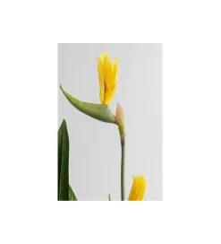 KDesign Sztuczna roślina PARADISE 190 cm