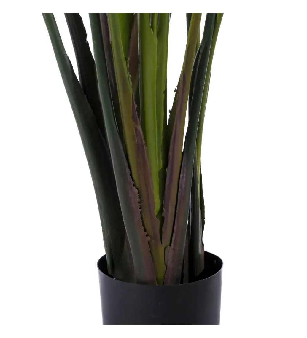 Zona-Design Sztuczna roślina PARAISO 245 cm