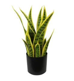 Imeri Sztuczna roślina SANSEVIERA 42 cm