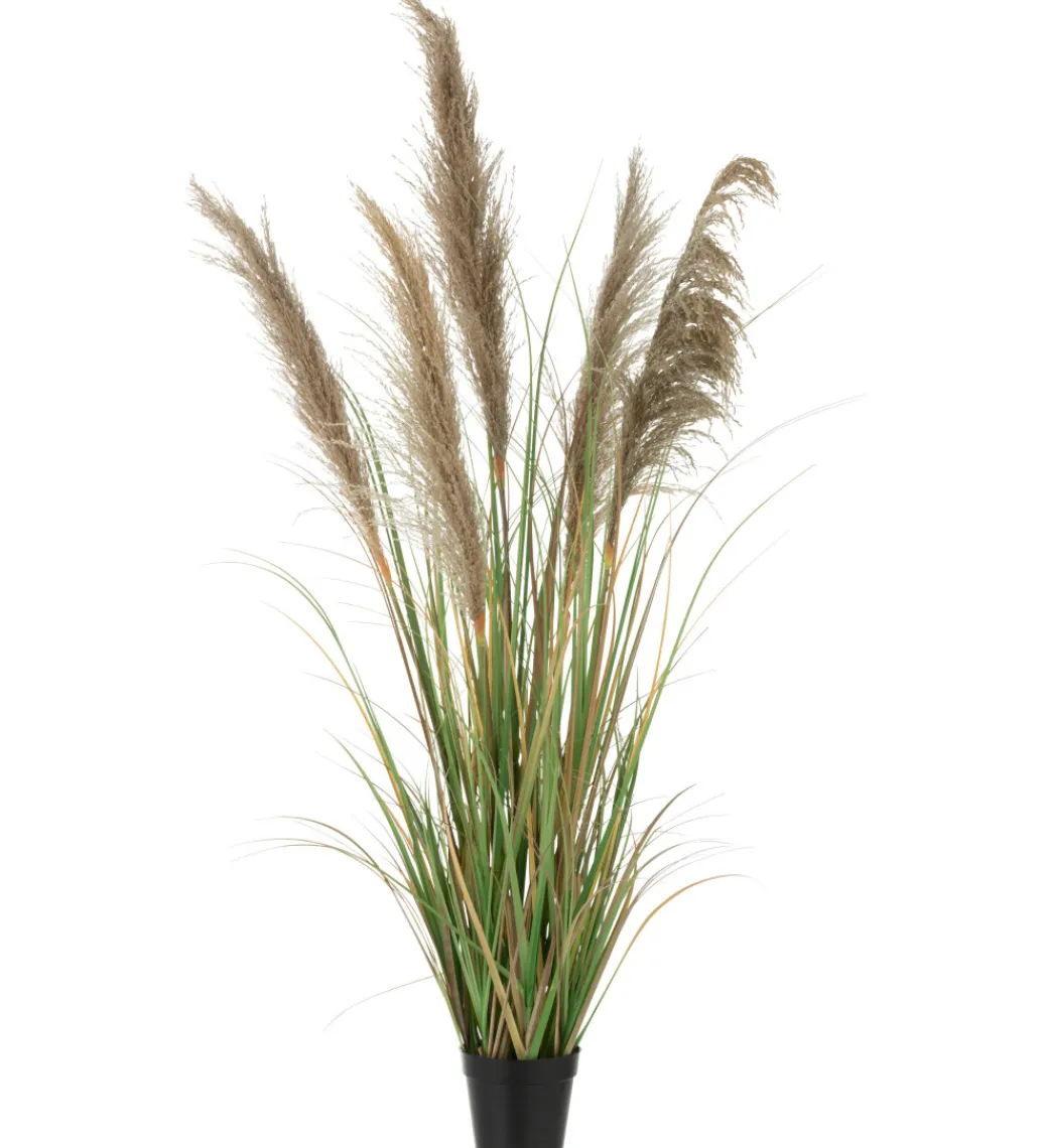 J-Line Sztuczna roślina TRAWA PAMPAS 140 cm