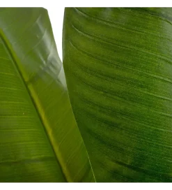Zona-Design Sztuczny kwiat BANANA 190 CM zielony