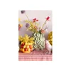 KDesign Wazon FRUIT PARADE 20 cm czerwono żółty
