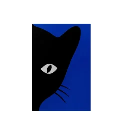 KDesign Zestaw 2 obrazów CIAO GATTO 60 x 40 cm